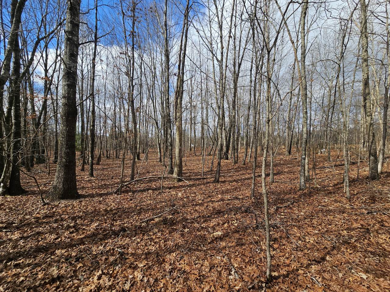 https://bt-photos.global.ssl.fastly.net/nashville/1280_boomver_1_RTC3134043-1.jpg