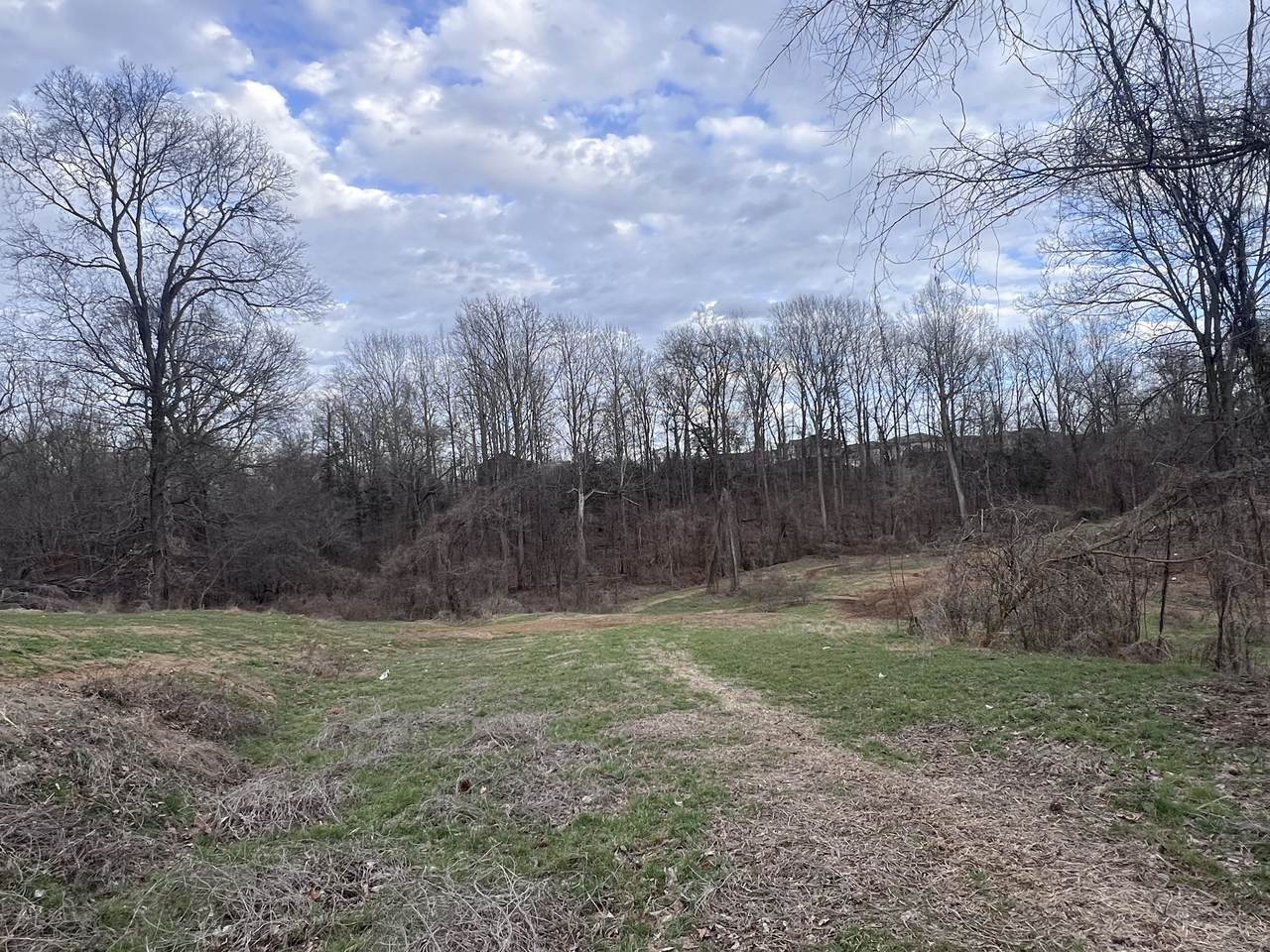 https://bt-photos.global.ssl.fastly.net/nashville/1280_boomver_1_RTC3134581-1.jpg