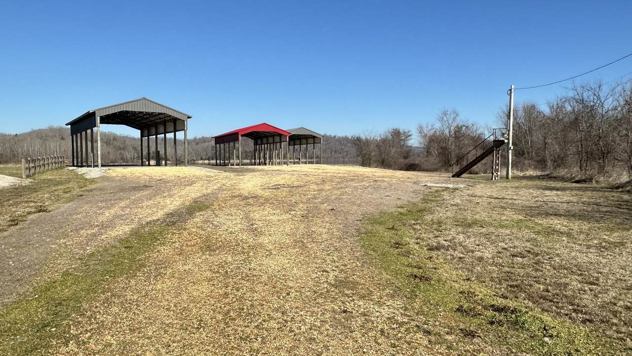 https://bt-photos.global.ssl.fastly.net/nashville/1280_boomver_1_RTC3134692-1.jpg