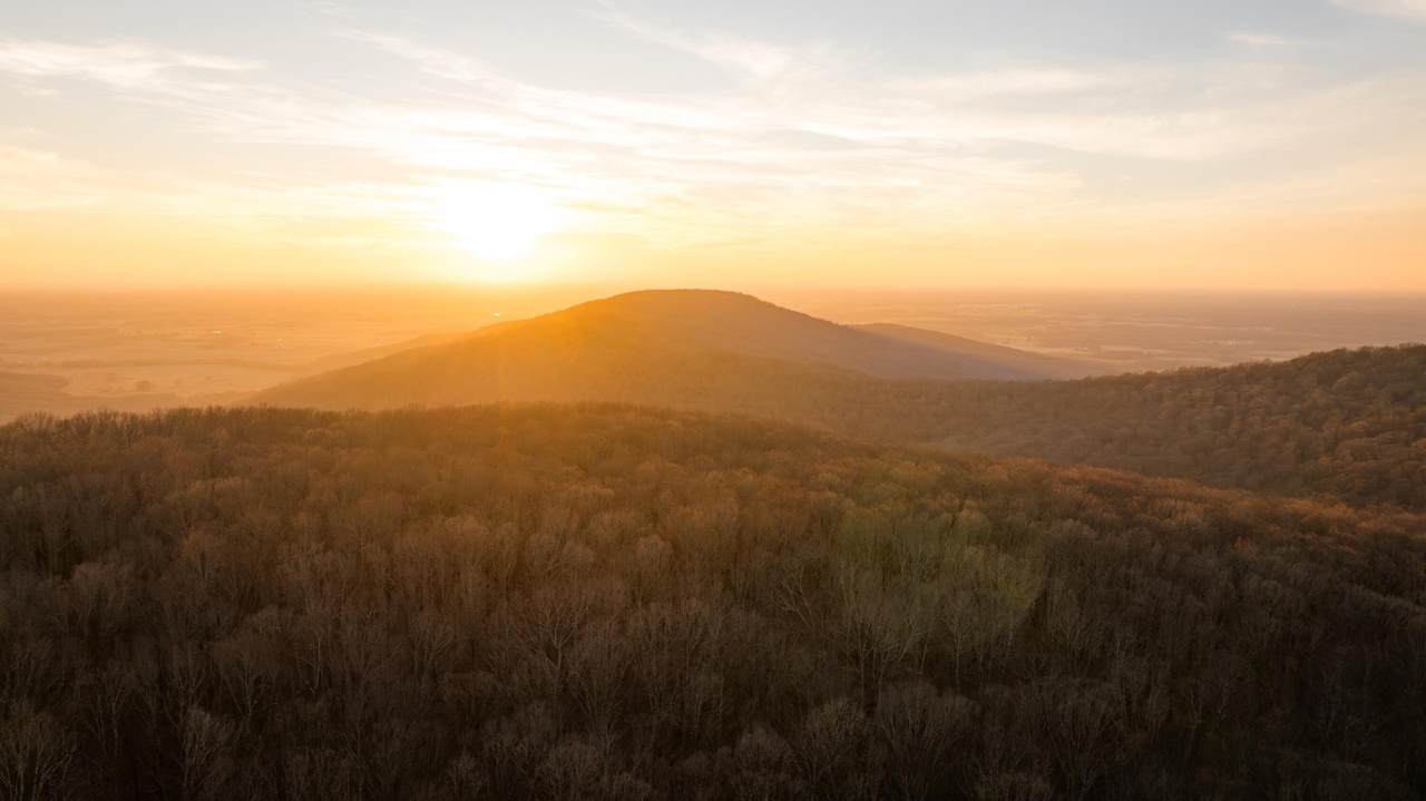 0 Deer Run Road - Photo 1