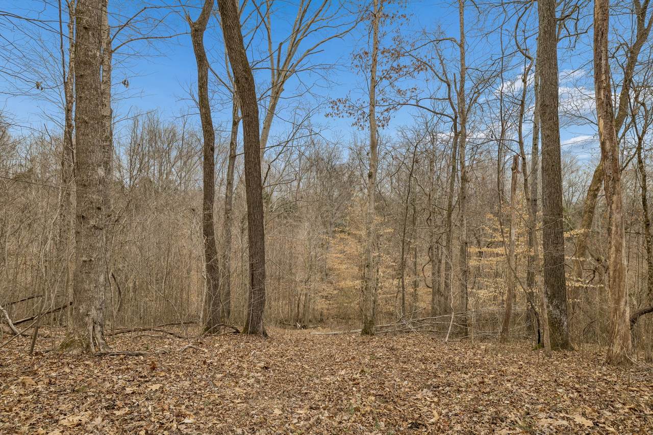 https://bt-photos.global.ssl.fastly.net/nashville/1280_boomver_1_RTC3134822-1.jpg
