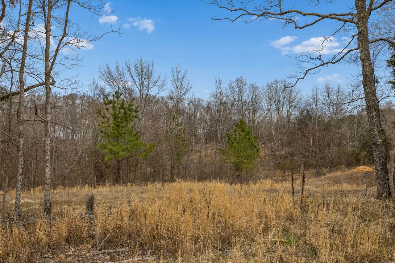0 Mosley Ferry Rd - Photo 1