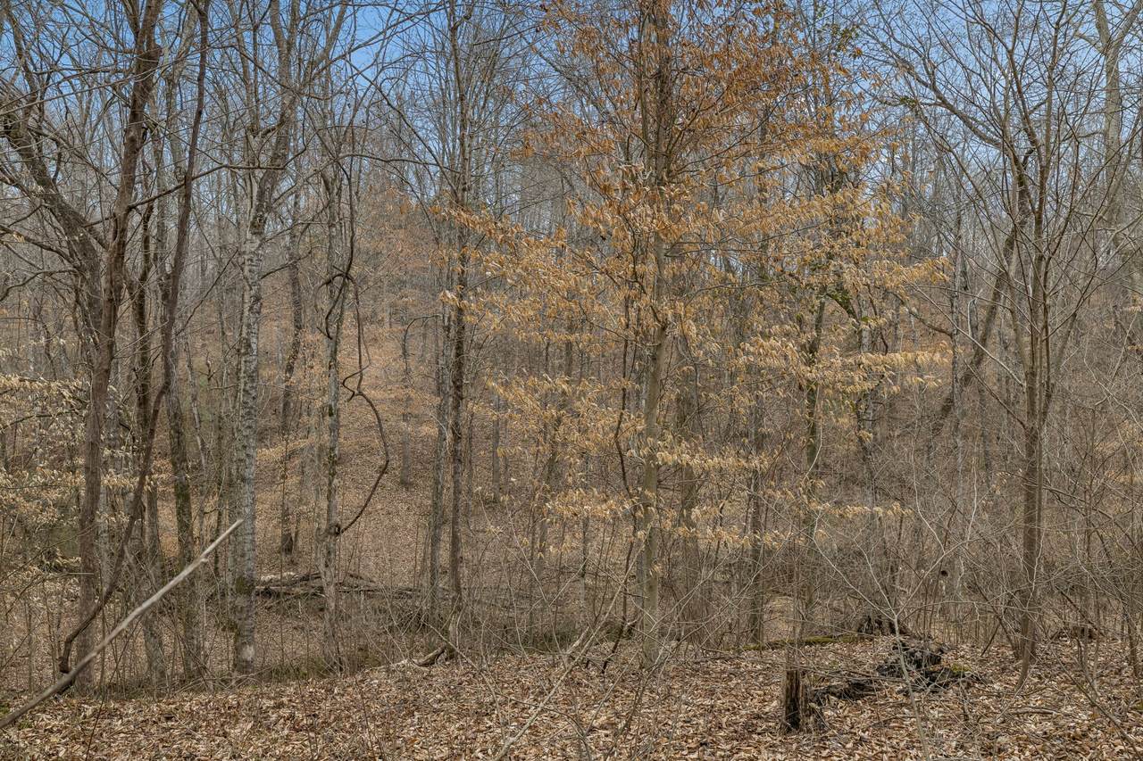 https://bt-photos.global.ssl.fastly.net/nashville/1280_boomver_1_RTC3134825-1.jpg
