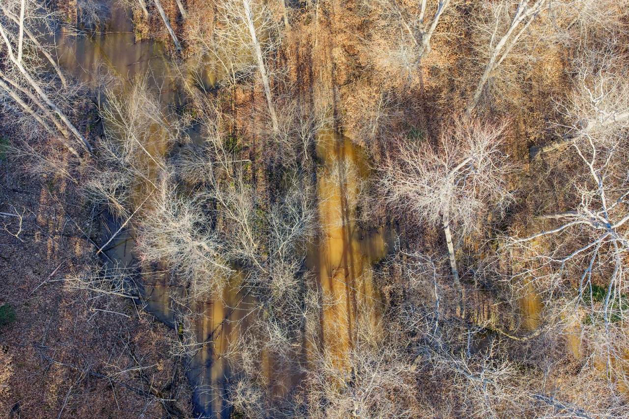 https://bt-photos.global.ssl.fastly.net/nashville/1280_boomver_1_RTC3134861-1.jpg