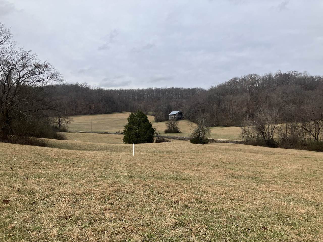 12 Booker Ridge Rd - Photo 1