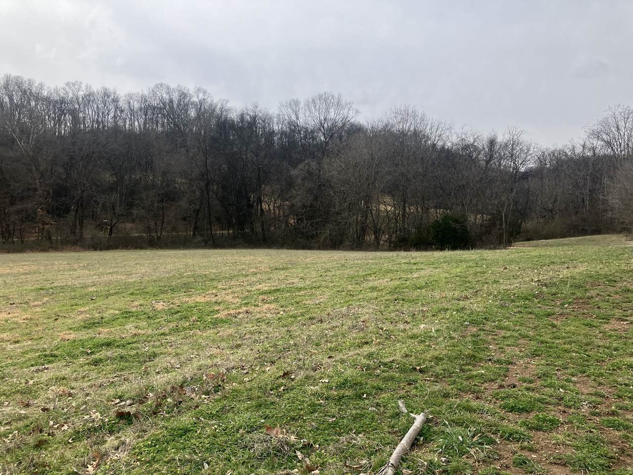 https://bt-photos.global.ssl.fastly.net/nashville/1280_boomver_1_RTC3134920-1.jpg