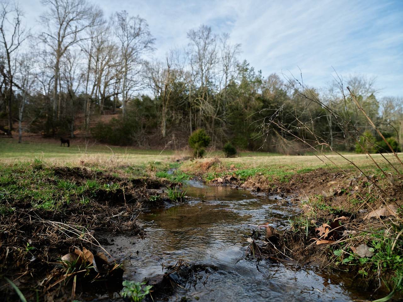 https://bt-photos.global.ssl.fastly.net/nashville/1280_boomver_1_RTC3134924-1.jpg