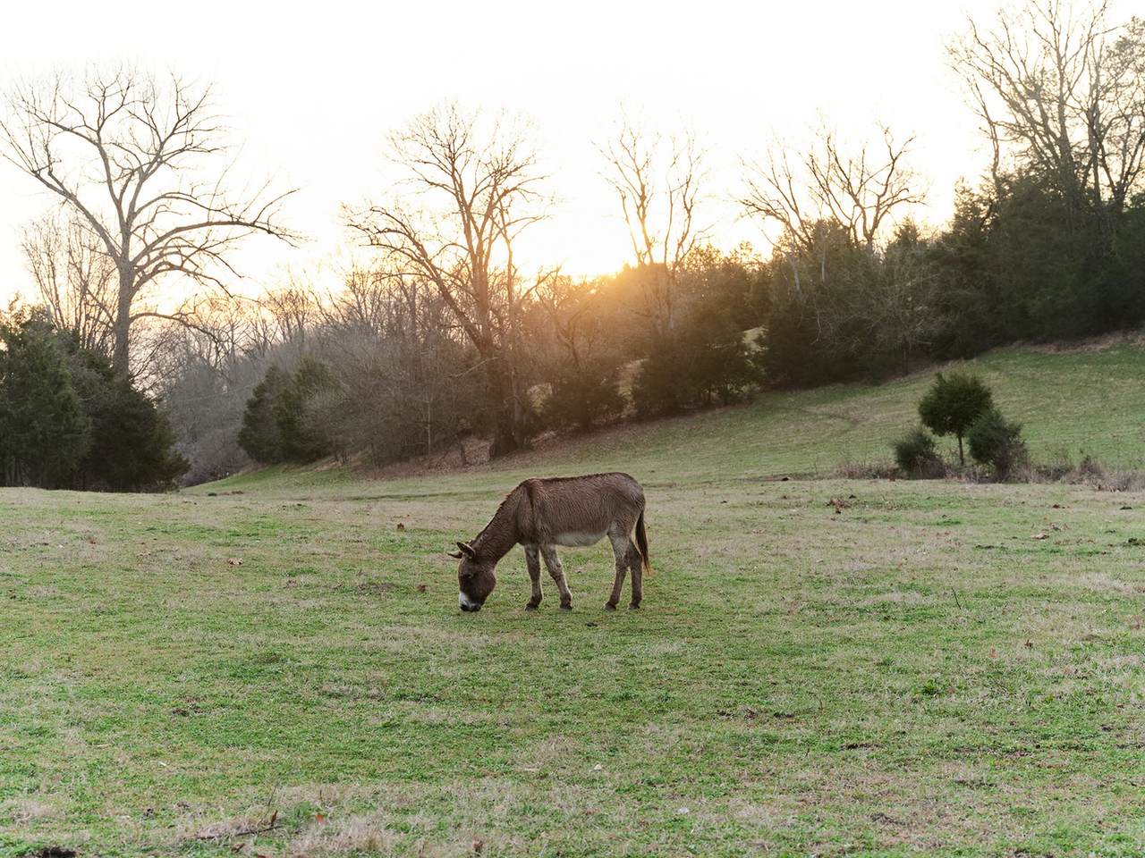 https://bt-photos.global.ssl.fastly.net/nashville/1280_boomver_1_RTC3134924-1.jpg