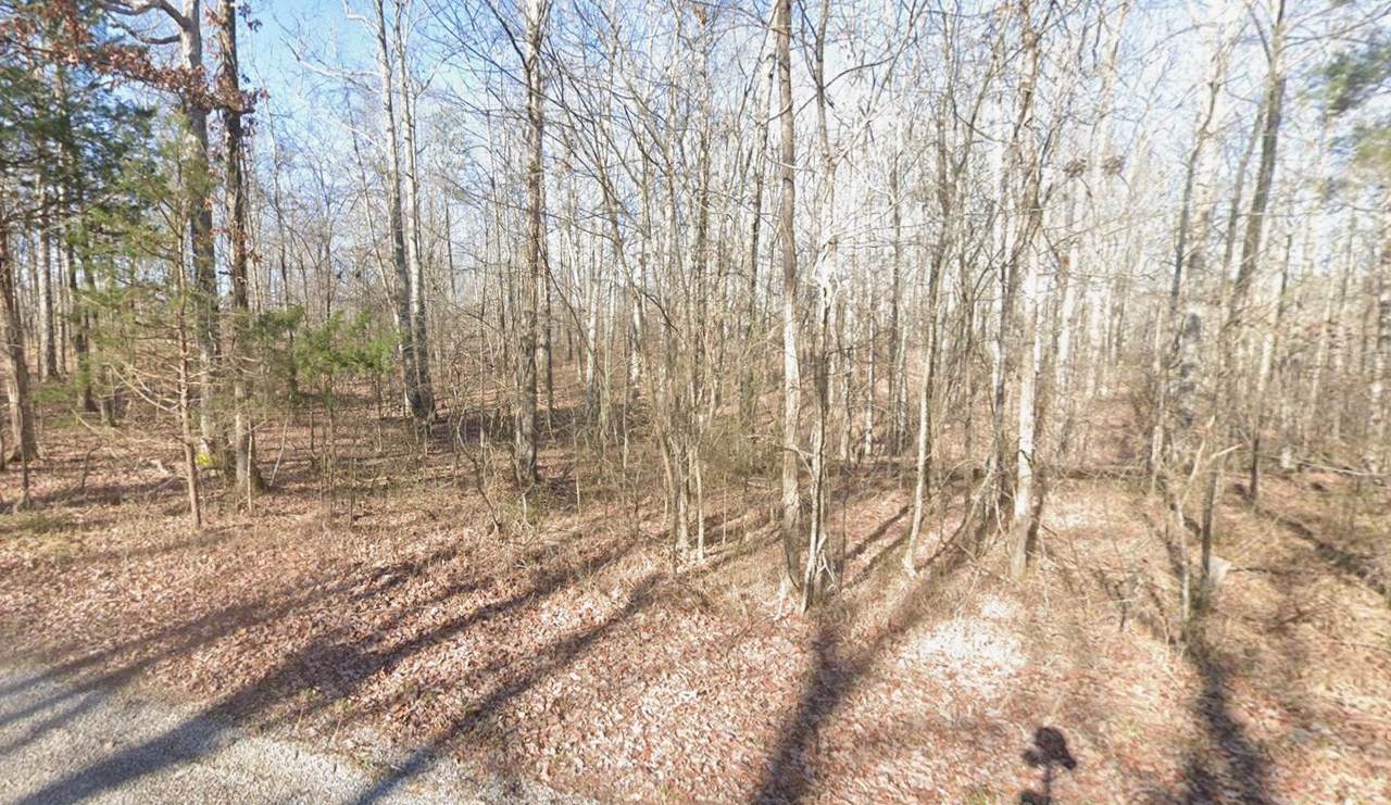 0 Webb Way - Photo 1