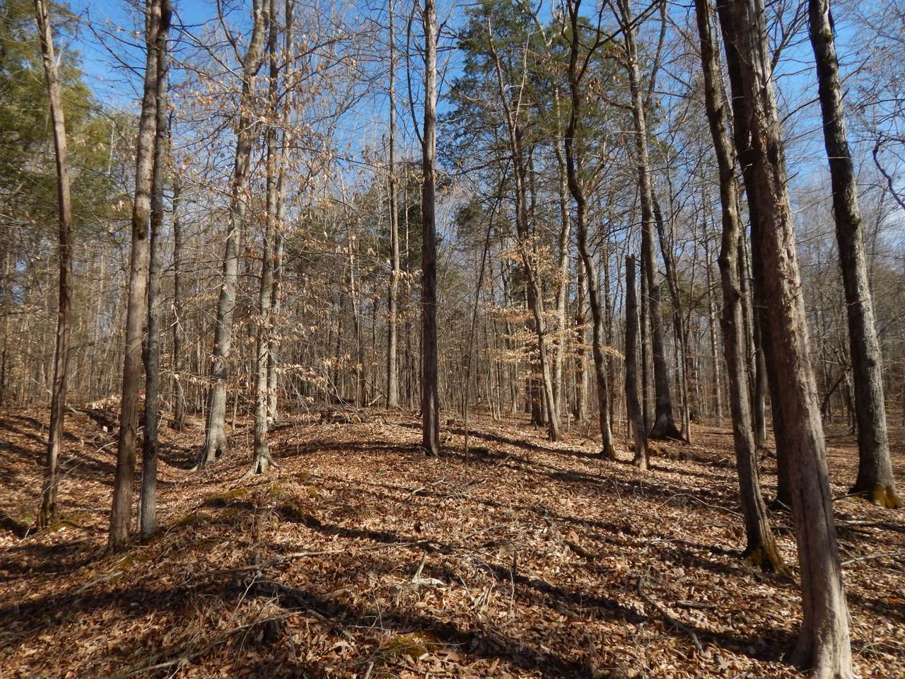 https://bt-photos.global.ssl.fastly.net/nashville/1280_boomver_1_RTC3134973-1.jpg