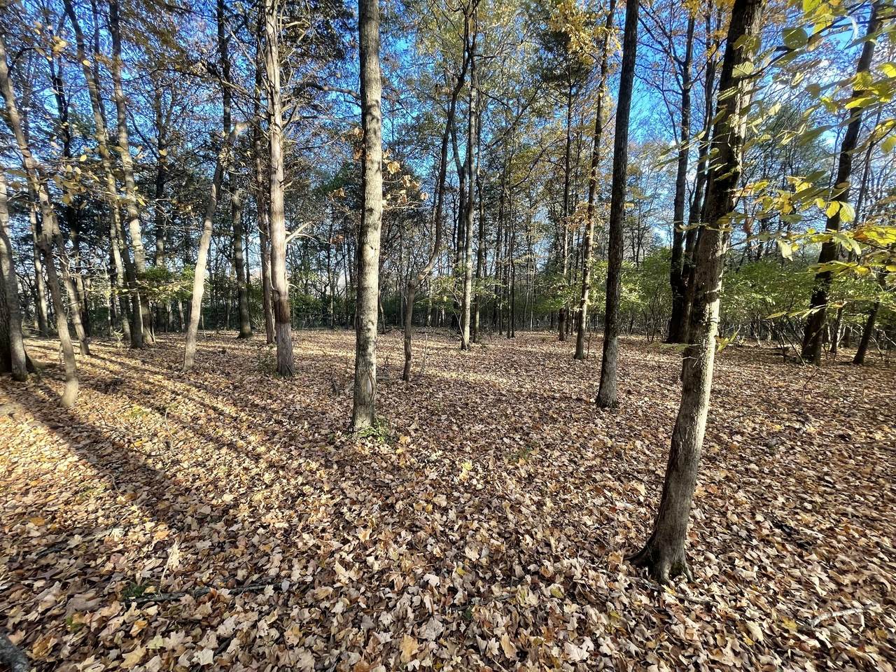 https://bt-photos.global.ssl.fastly.net/nashville/1280_boomver_1_RTC3135047-1.jpg