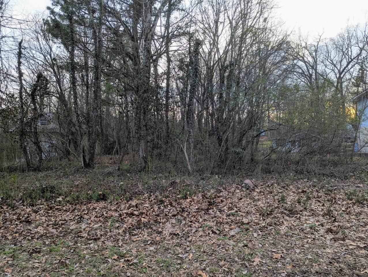https://bt-photos.global.ssl.fastly.net/nashville/1280_boomver_1_RTC3135218-1.jpg