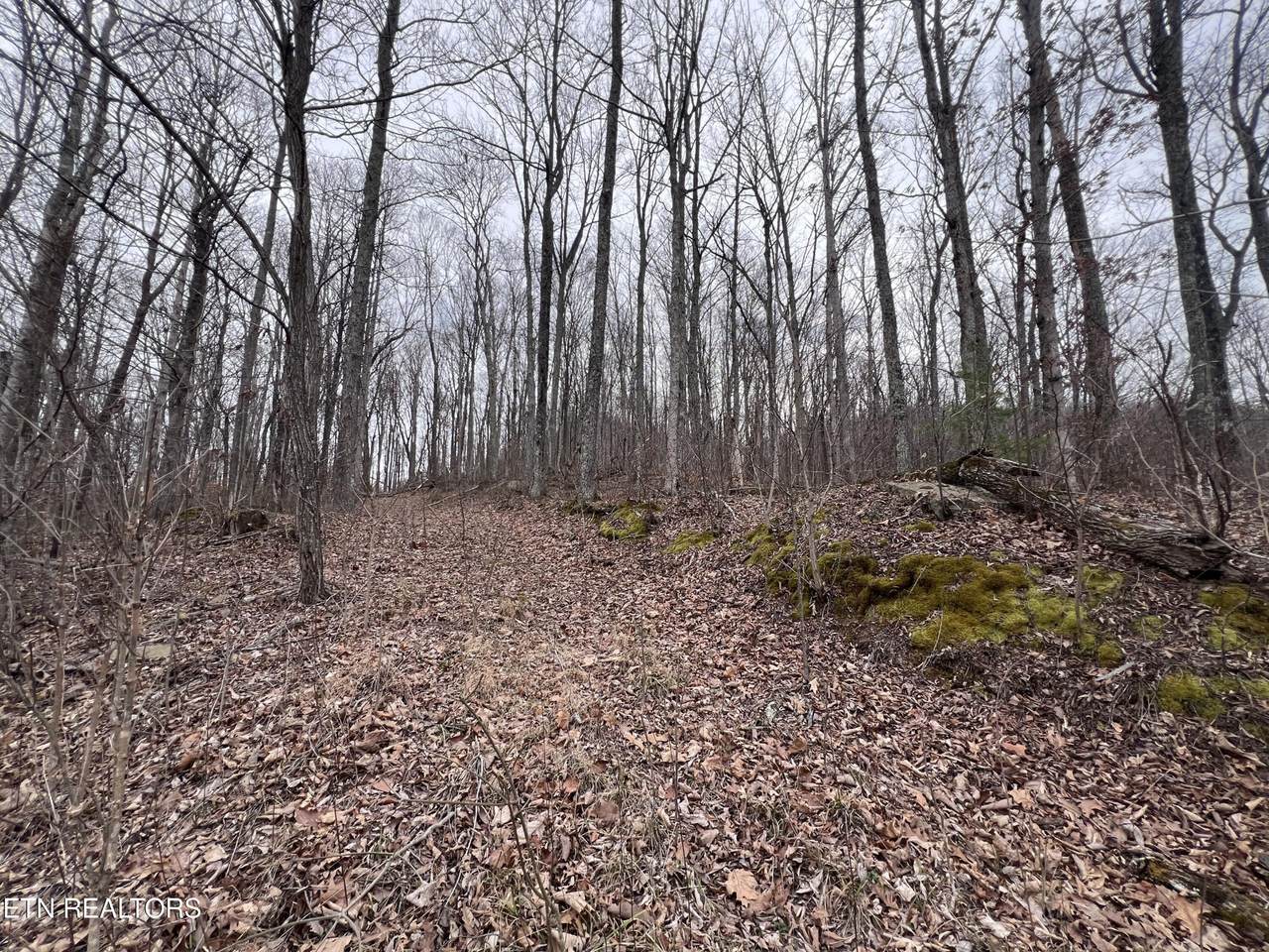 0 Lot 62 Apache Rd - Photo 1