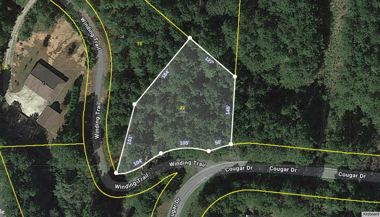 106 Winding Trail - Photo 1