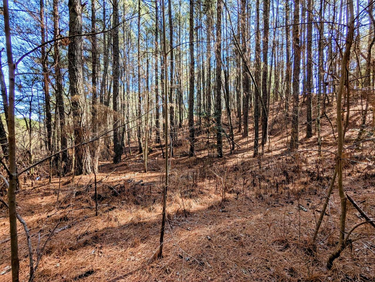 https://bt-photos.global.ssl.fastly.net/nashville/1280_boomver_1_RTC3135546-1.jpg