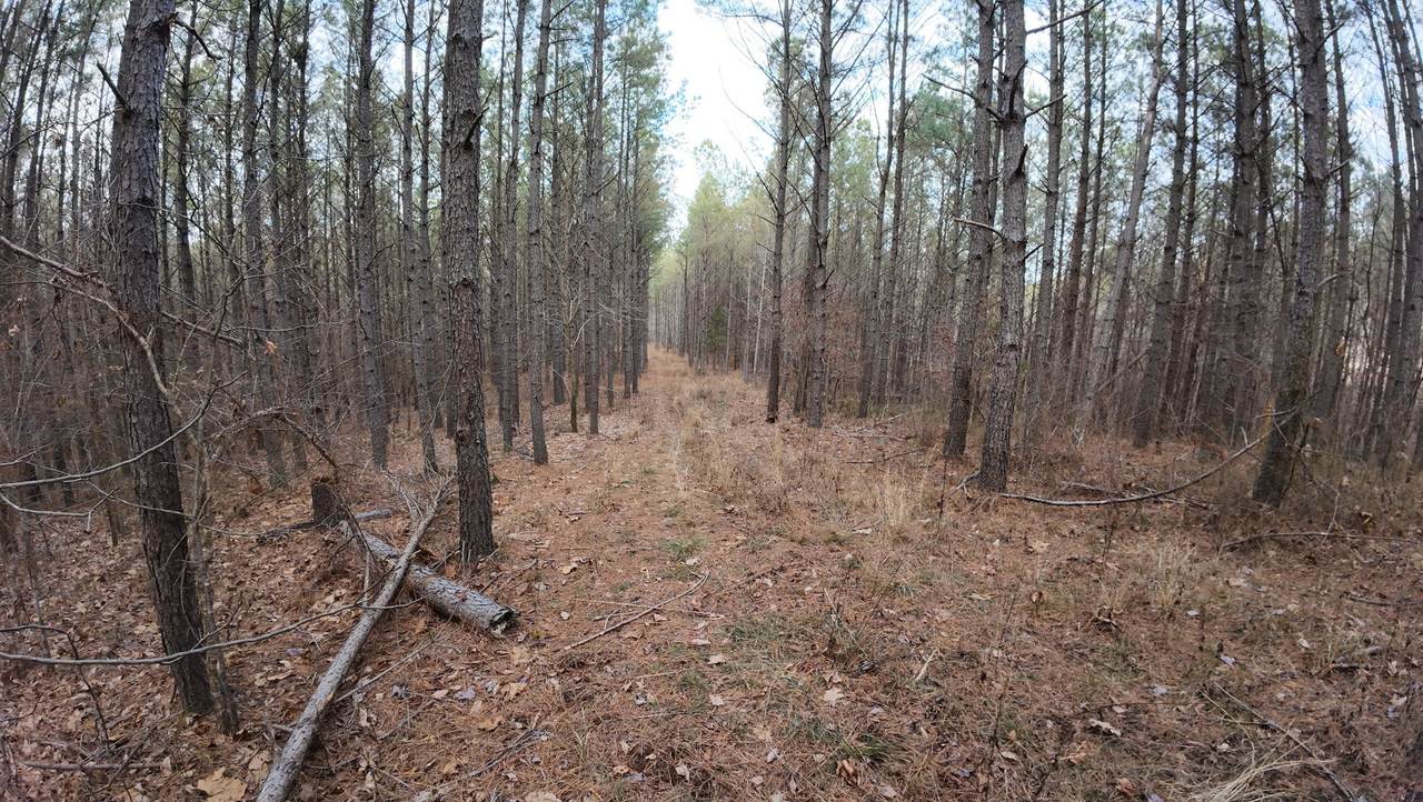 240 Brookstone Dr - Photo 1