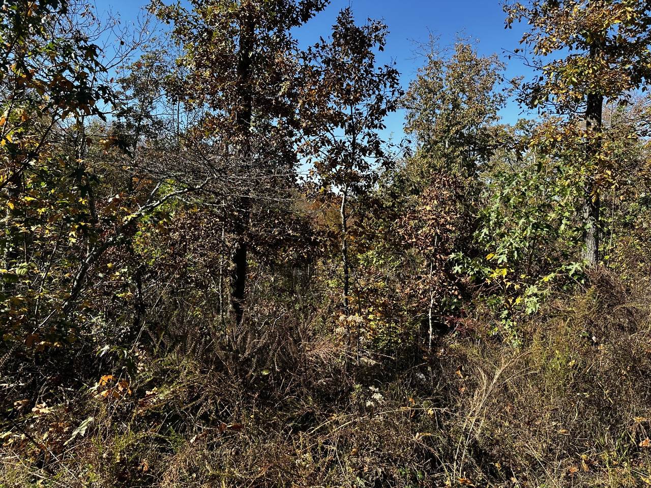 0 Ridge Top Rd - Photo 1