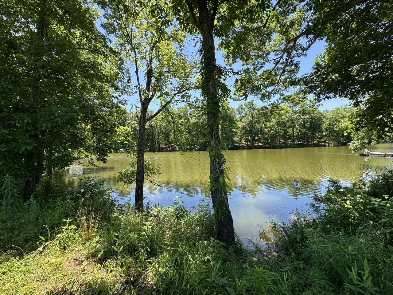 384 Duck Blind Rd - Photo 1