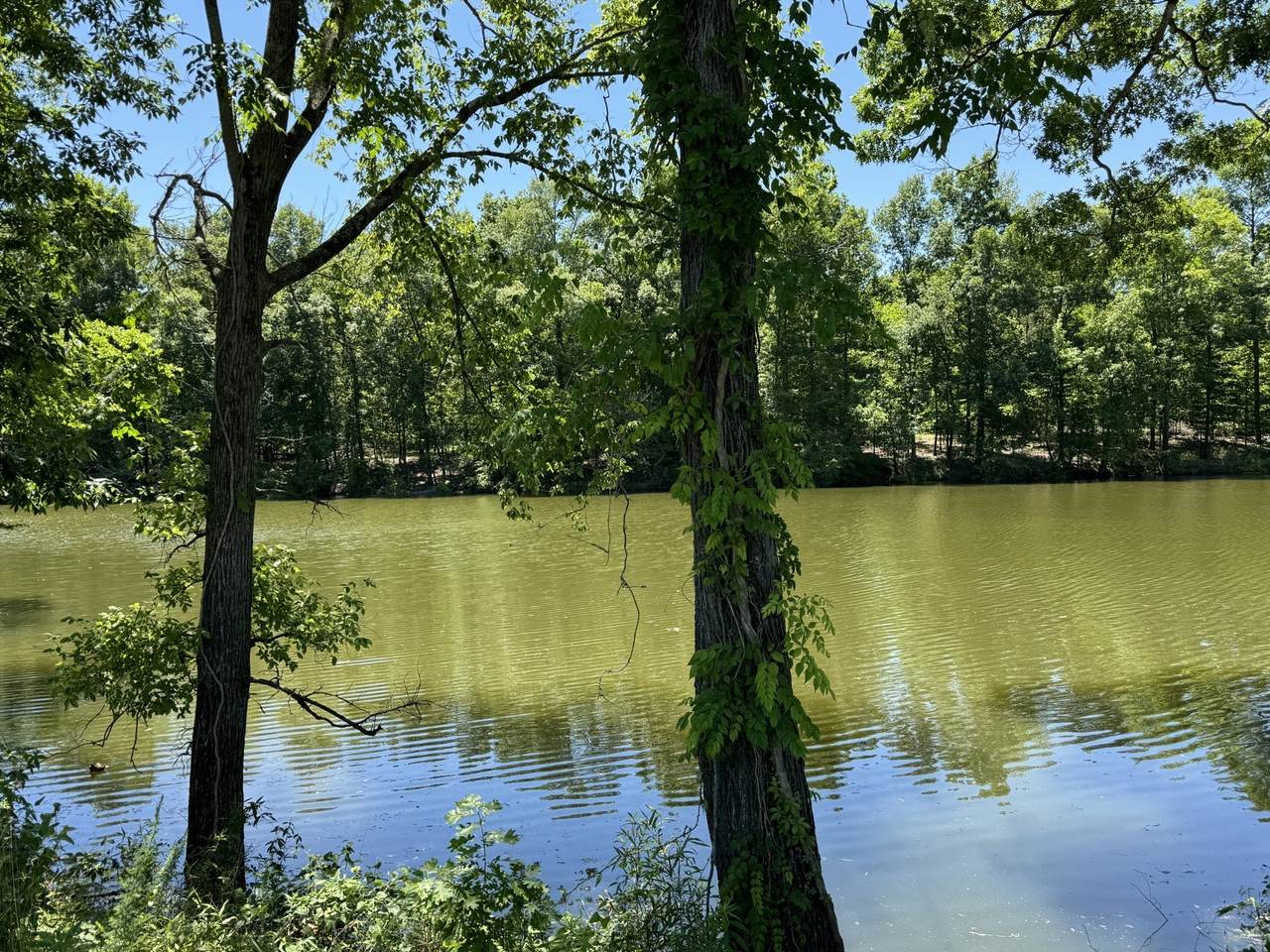 https://bt-photos.global.ssl.fastly.net/nashville/1280_boomver_1_RTC3135897-1.jpg