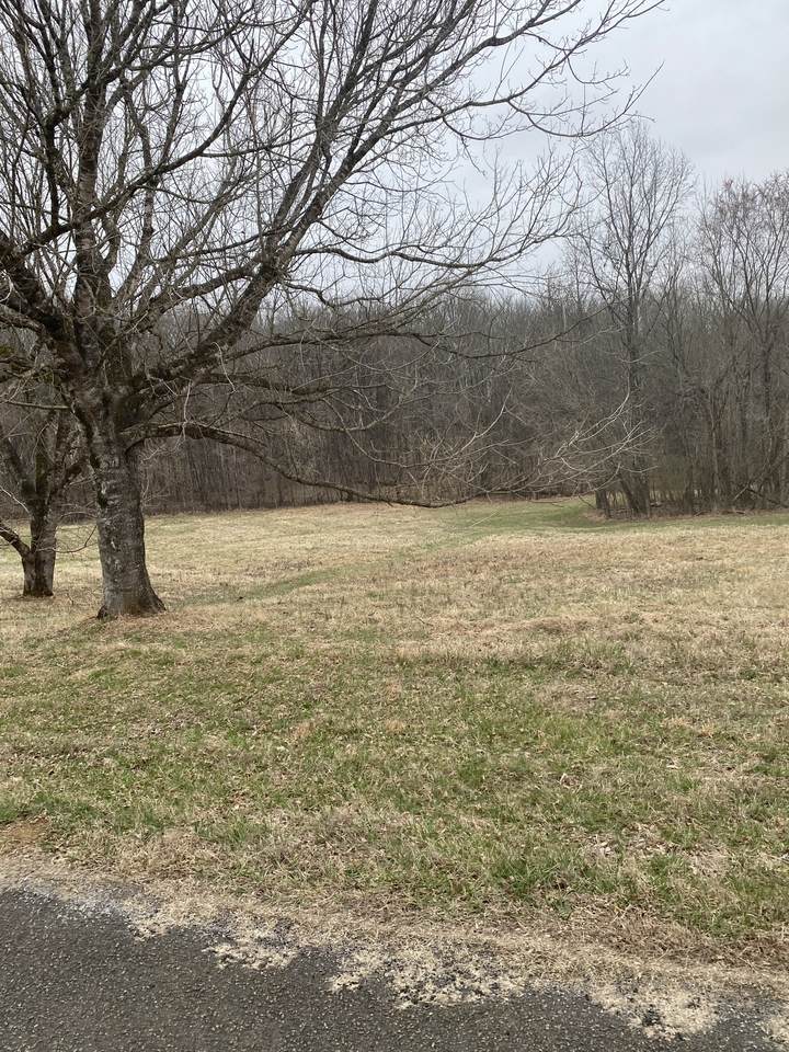 883 Scenic Circle - Photo 1