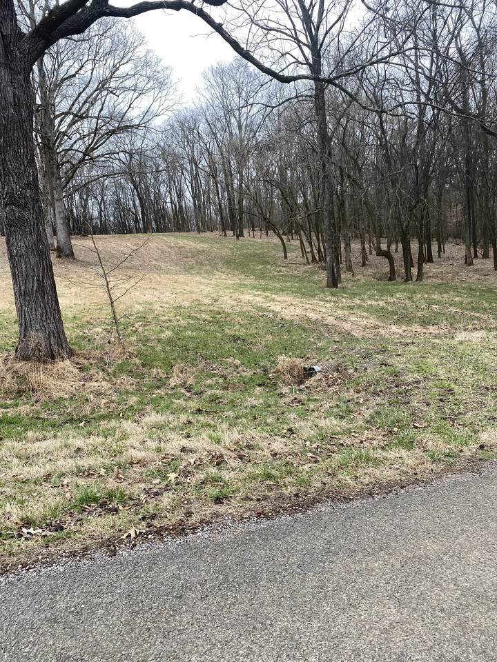 https://bt-photos.global.ssl.fastly.net/nashville/1280_boomver_1_RTC3135978-1.jpg