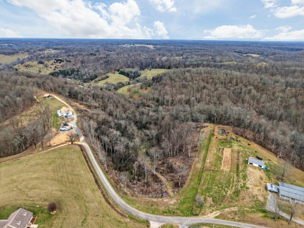 0 Goose Branch Rd - Photo 1