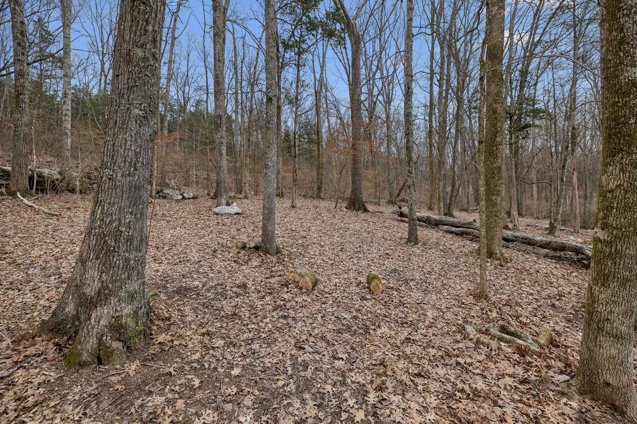 https://bt-photos.global.ssl.fastly.net/nashville/1280_boomver_1_RTC3136309-1.jpg