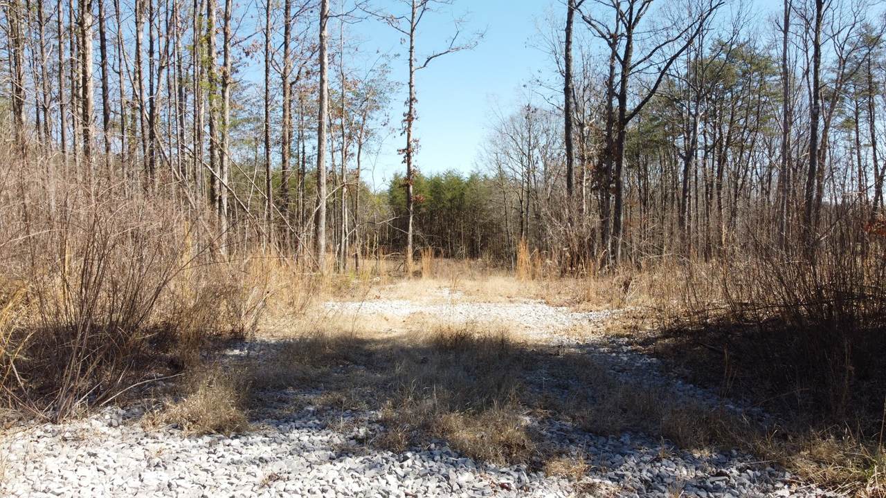 0 Rolling Hills Dr - Photo 1