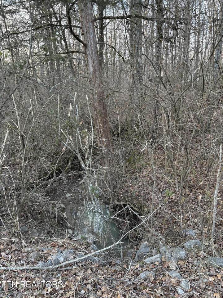 https://bt-photos.global.ssl.fastly.net/nashville/orig_boomver_1_RTC3136762-1.jpg
