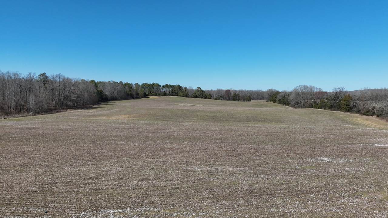 https://bt-photos.global.ssl.fastly.net/nashville/1280_boomver_1_RTC3136999-1.jpg