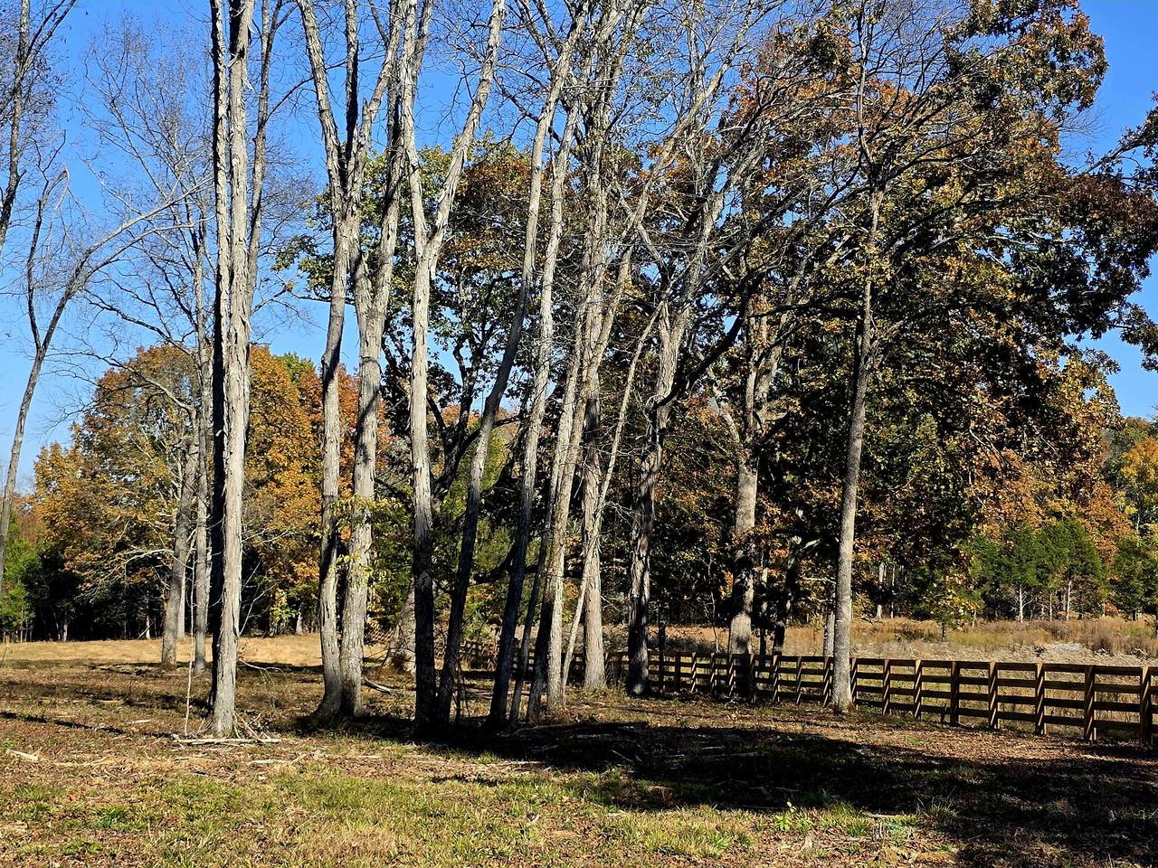 https://bt-photos.global.ssl.fastly.net/nashville/1280_boomver_1_RTC3137411-1.jpg