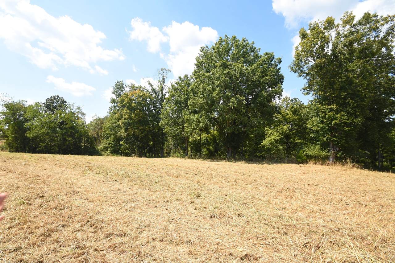 0 Moore Hollow Road - Photo 1