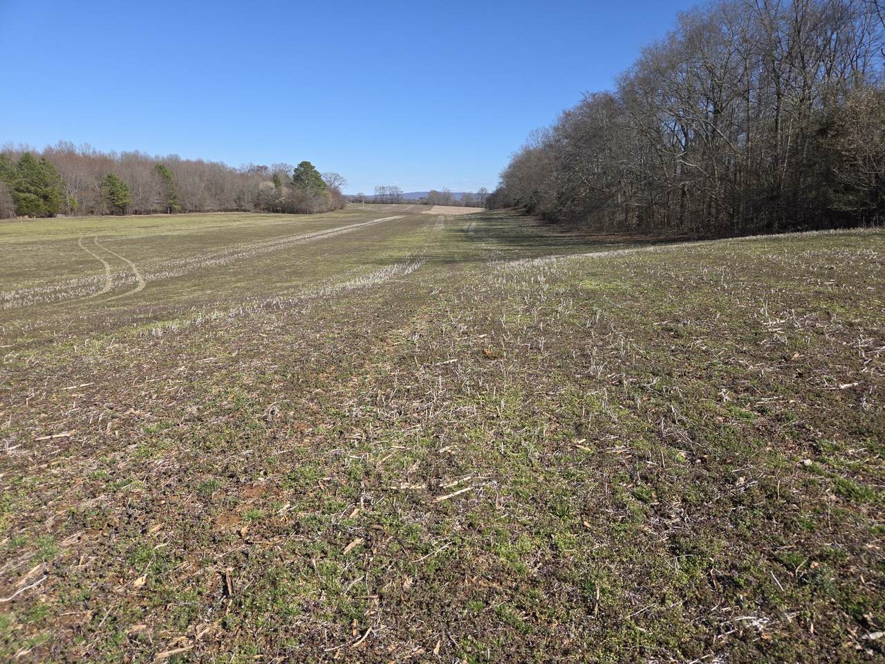 0 Old Estill Springs Rd - Photo 1