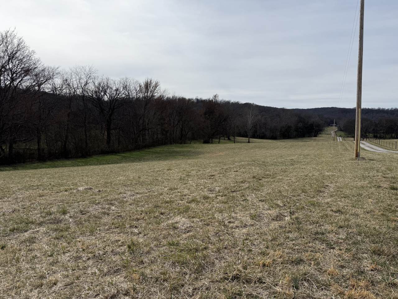 https://bt-photos.global.ssl.fastly.net/nashville/1280_boomver_1_RTC3137652-1.jpg