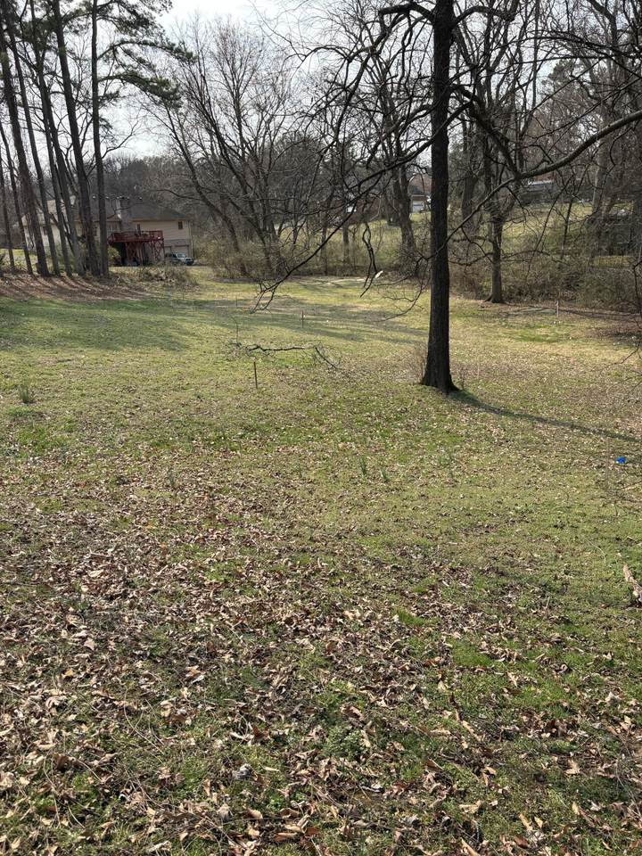 https://bt-photos.global.ssl.fastly.net/nashville/1280_boomver_1_RTC3137747-1.jpg