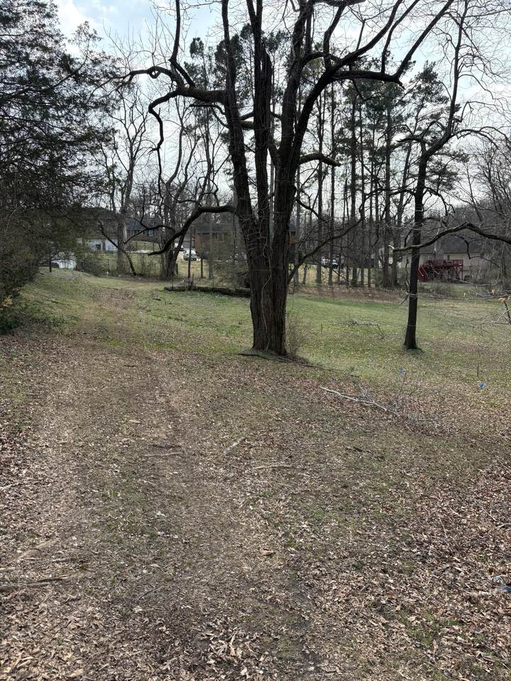 https://bt-photos.global.ssl.fastly.net/nashville/1280_boomver_1_RTC3137747-1.jpg