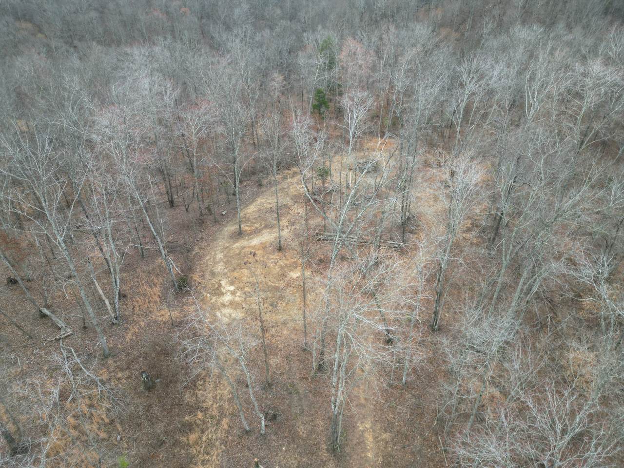 https://bt-photos.global.ssl.fastly.net/nashville/1280_boomver_1_RTC3138008-1.jpg