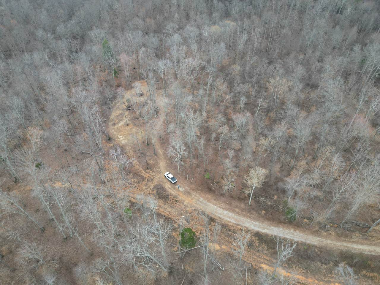 https://bt-photos.global.ssl.fastly.net/nashville/1280_boomver_1_RTC3138008-1.jpg