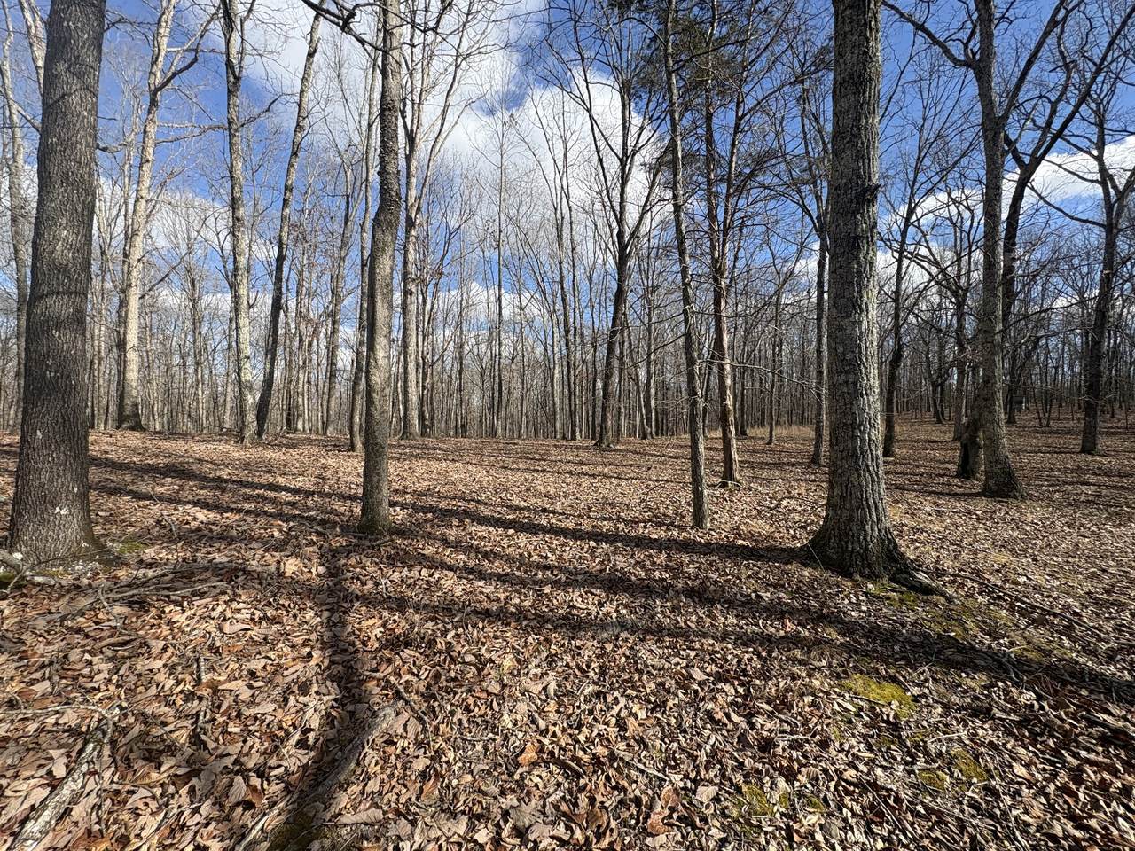 0 Daniel Rd - Photo 1