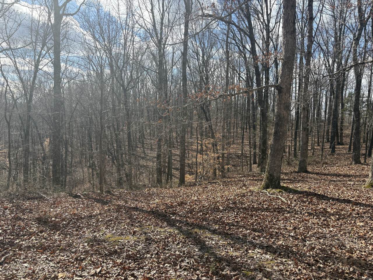 https://bt-photos.global.ssl.fastly.net/nashville/1280_boomver_1_RTC3138080-1.jpg
