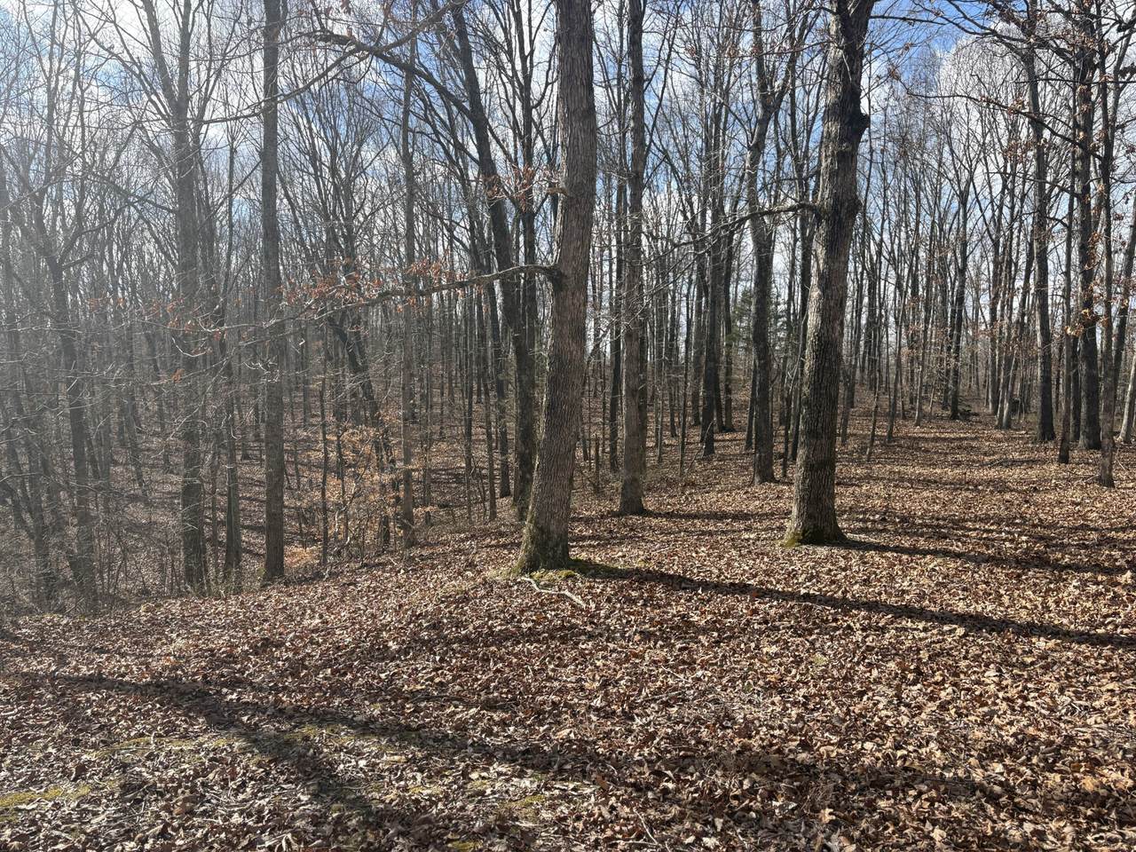 https://bt-photos.global.ssl.fastly.net/nashville/1280_boomver_1_RTC3138080-1.jpg