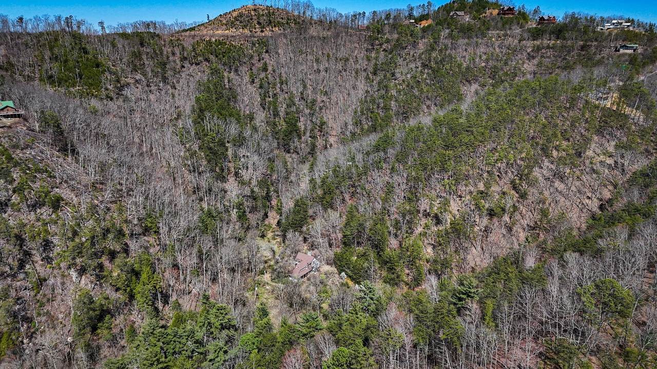 1060 Rayfield Hollow Way - Photo 1