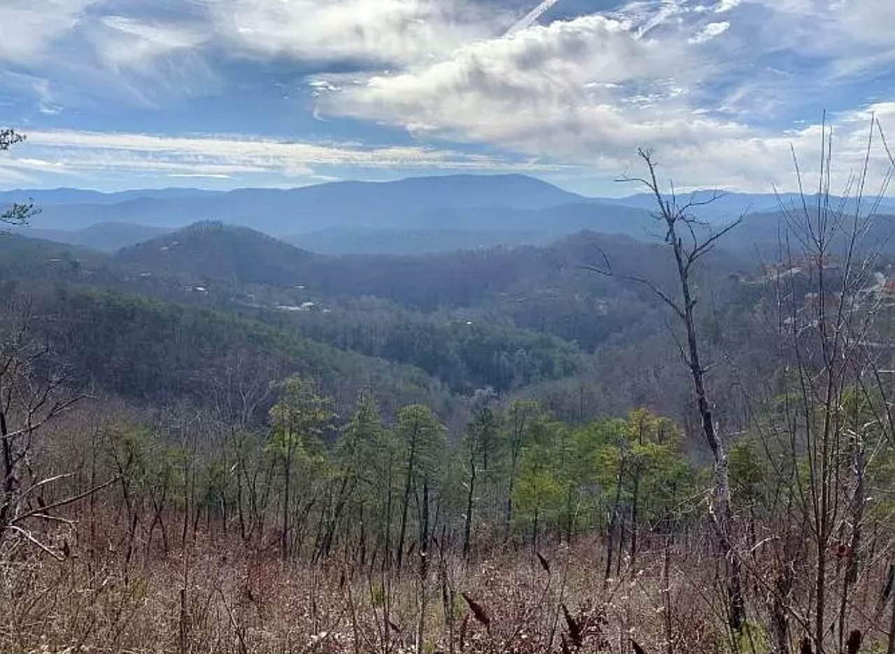 https://bt-photos.global.ssl.fastly.net/nashville/1280_boomver_1_RTC3138270-1.jpg