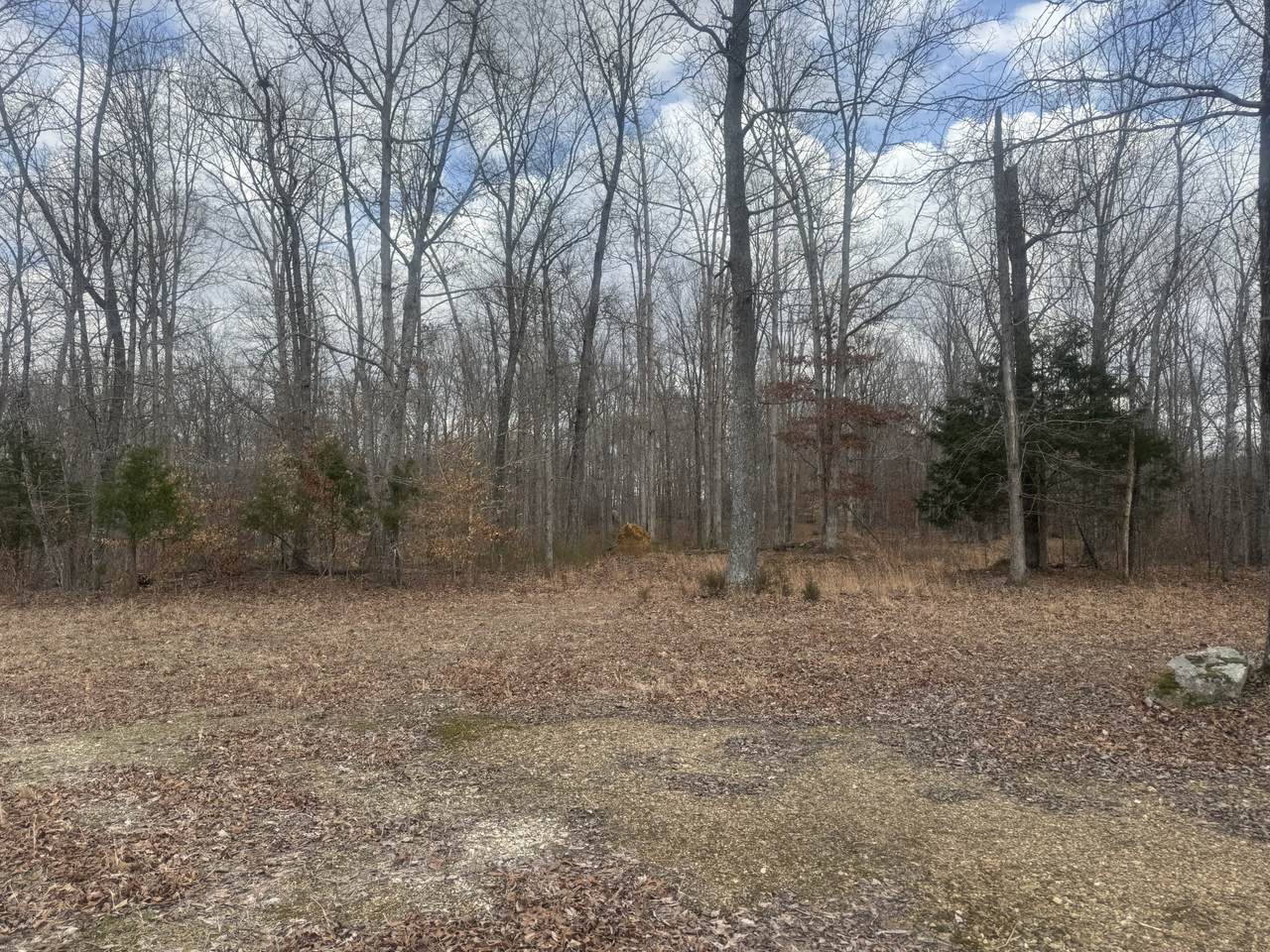 https://bt-photos.global.ssl.fastly.net/nashville/1280_boomver_1_RTC3138454-1.jpg