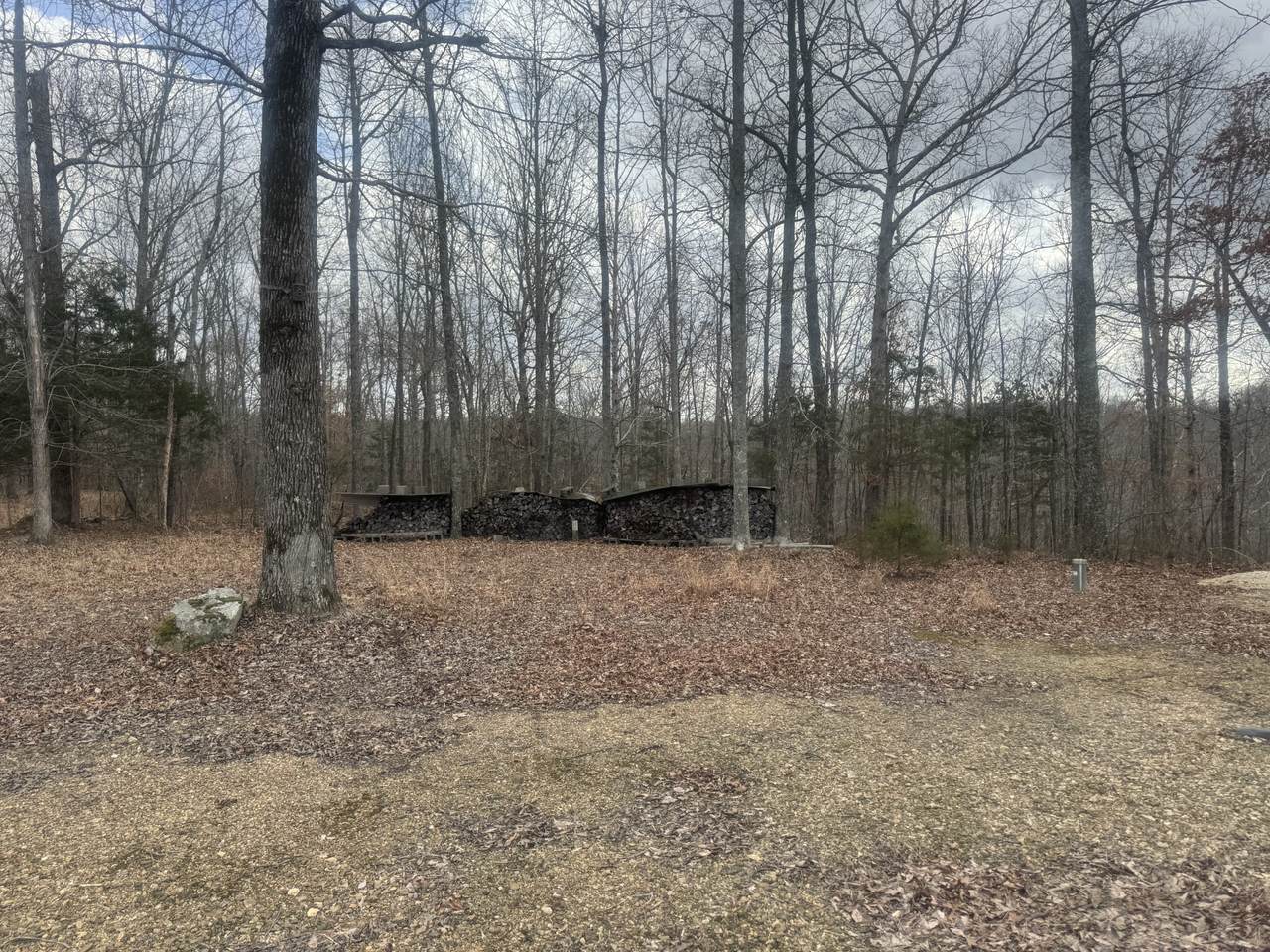 https://bt-photos.global.ssl.fastly.net/nashville/1280_boomver_1_RTC3138454-1.jpg