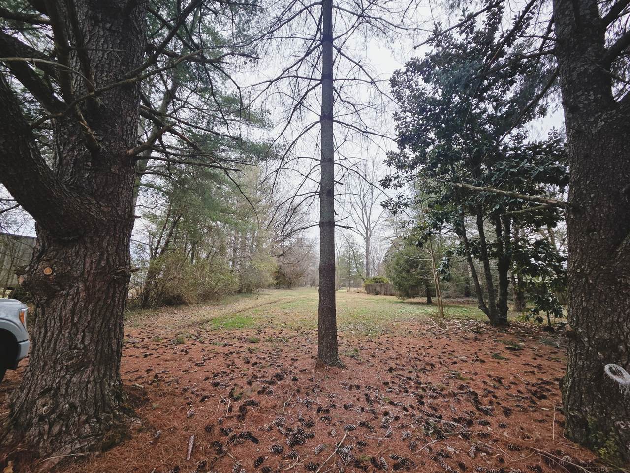 https://bt-photos.global.ssl.fastly.net/nashville/1280_boomver_1_RTC3138470-1.jpg