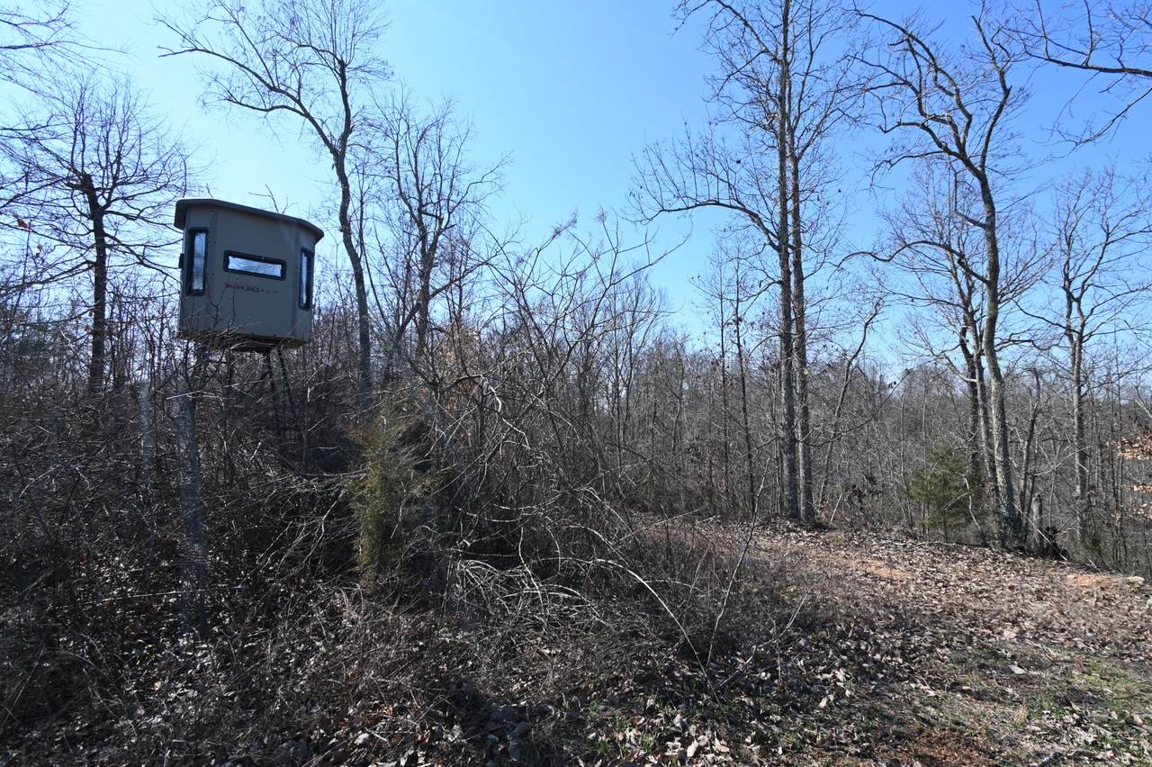 https://bt-photos.global.ssl.fastly.net/nashville/1280_boomver_1_RTC3138477-1.jpg