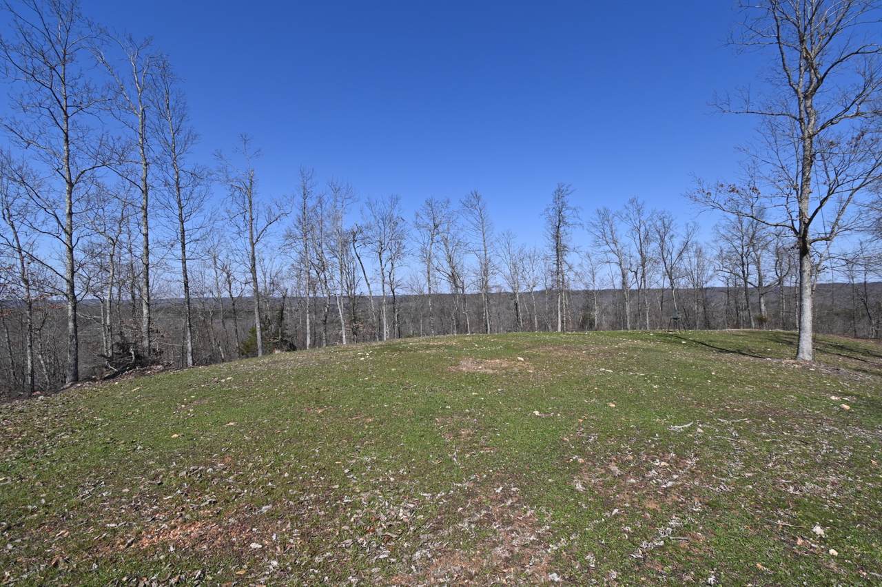 https://bt-photos.global.ssl.fastly.net/nashville/1280_boomver_1_RTC3138477-1.jpg