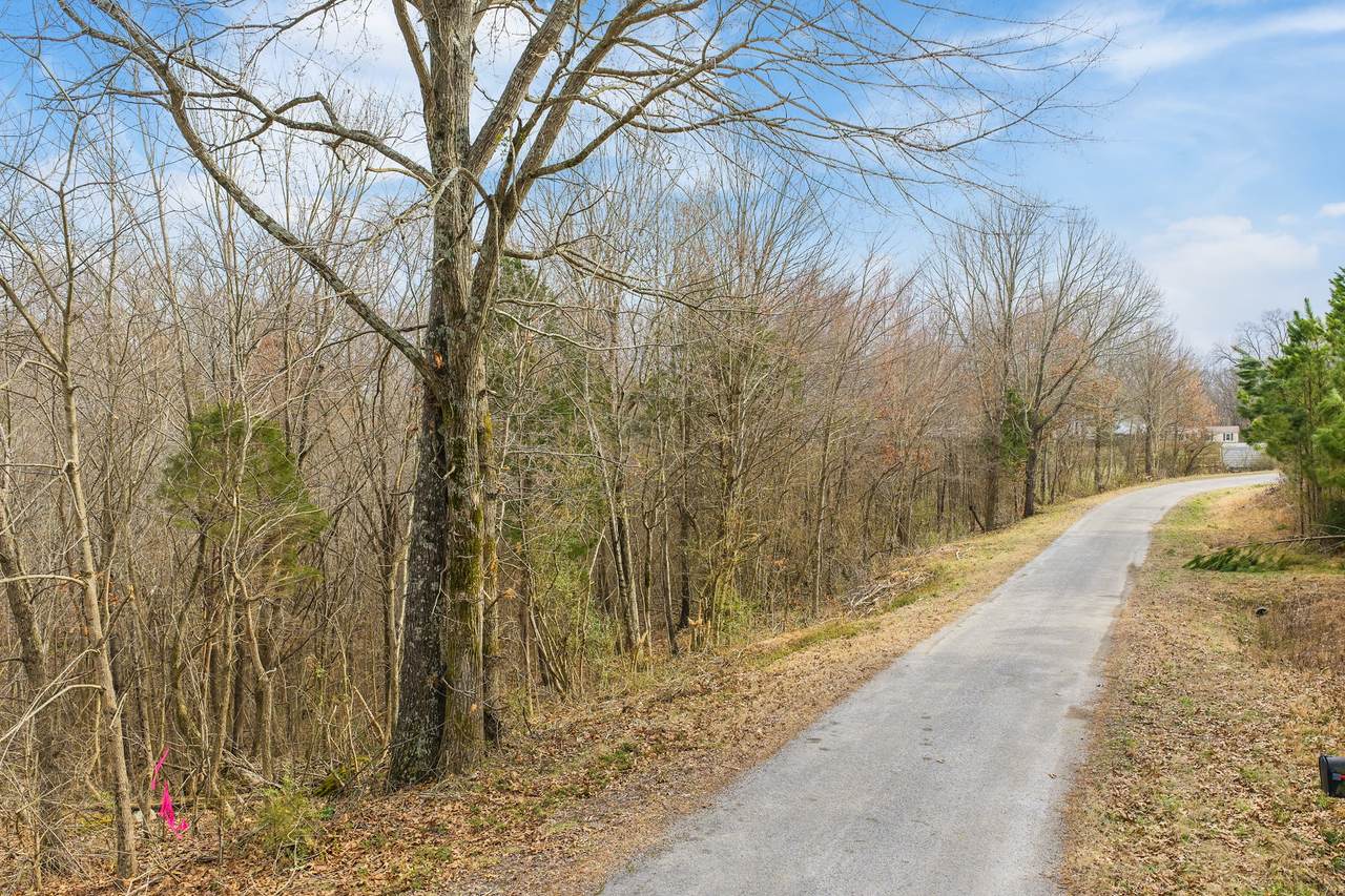 https://bt-photos.global.ssl.fastly.net/nashville/1280_boomver_1_RTC3138699-1.jpg