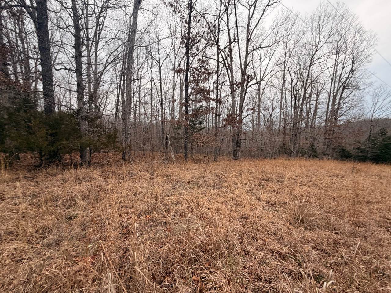 4 Blue Bird Ct - Photo 1